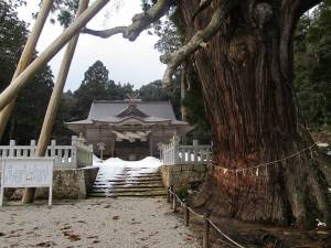 玉若酢命神社