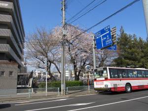 塩釜駅20110418