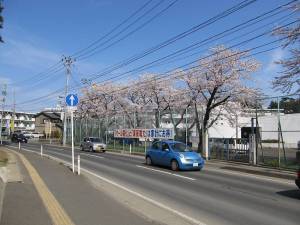 東北電力寮前20110418