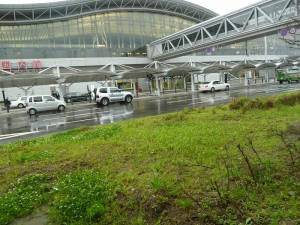 仙台空港の植え込み