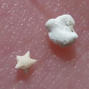 星砂