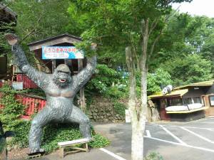 キツネ村１