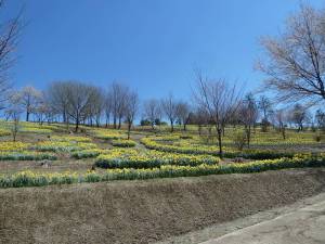 東那須野公園３
