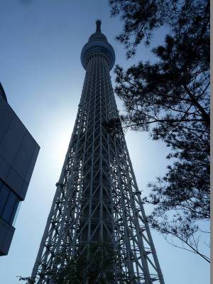 スカイツリー１