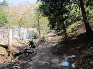 金華山山頂への道１