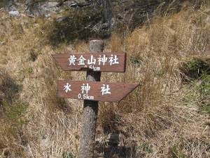 金華山山頂への道３