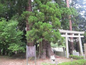 中村神社・相馬神社