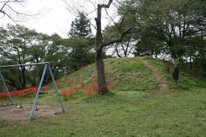 羽黒山公園のヒガンバナ４