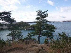 桂島２