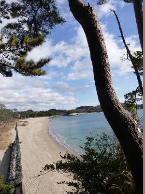 桂島４