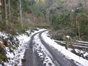 富山観音に向かう道