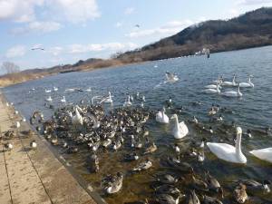 大河原河川公園