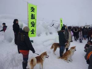 犬っこまつり３
