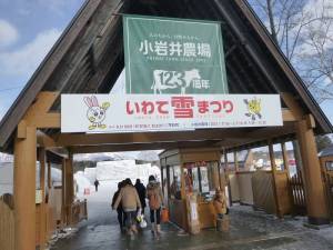 いわて雪まつり１