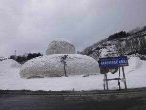 おおくら君１