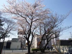 20140414塩釜駅前