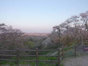 20140408岩切城跡
