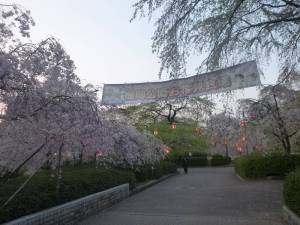 20140425榴岡公園