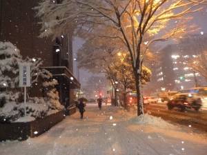 大雪_青葉区役所前１