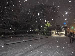 大雪_勾当台公園２