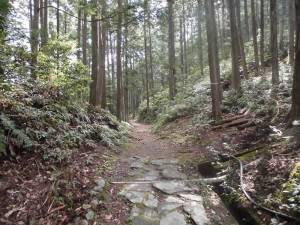 熊野古道