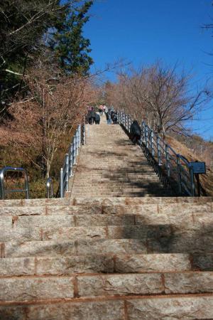 浅間公園階段