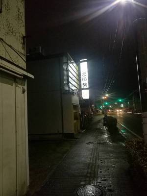 こい勢